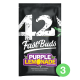 Fast Buds Seeds - Purple Lemonade | Autoflowering mag | 3 darab