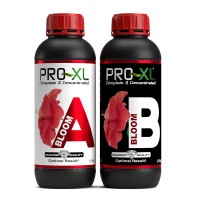 PRO-XL   BLOOM A&B 