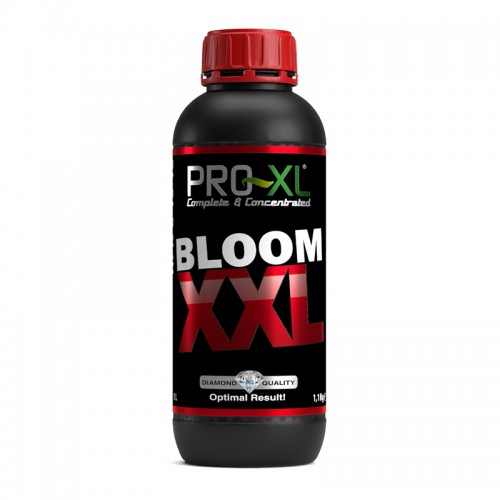 Pro XL BLOOM XXL Pro XL BLOOM XXL Pro XL BLOOM XXL